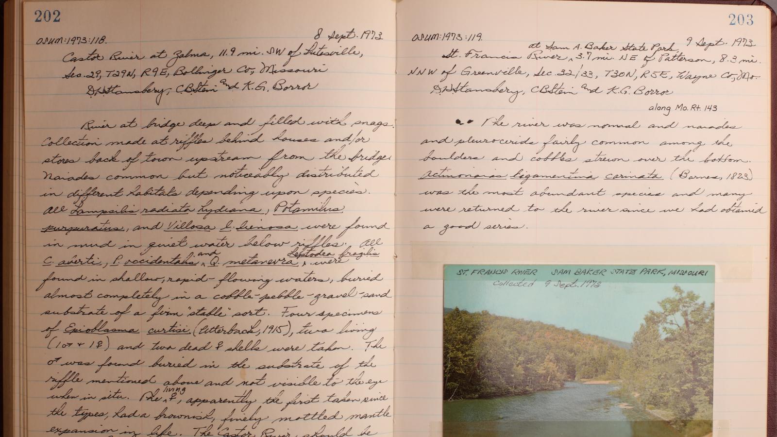 Photo of a field notebook written by David H. Stansbery, former curator of mollusks at OSUMBD. 