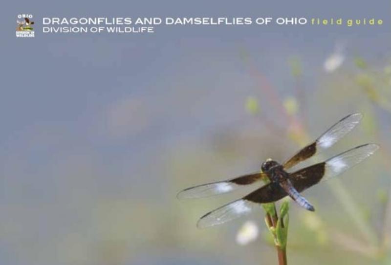 ODNR bboklet dragonflies