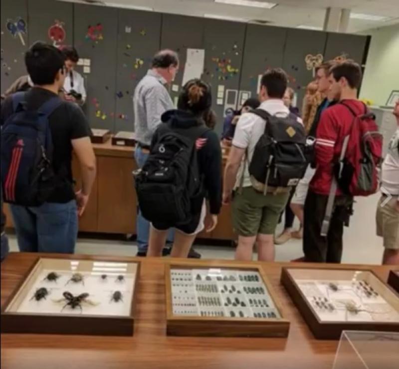REU students in insect collection
