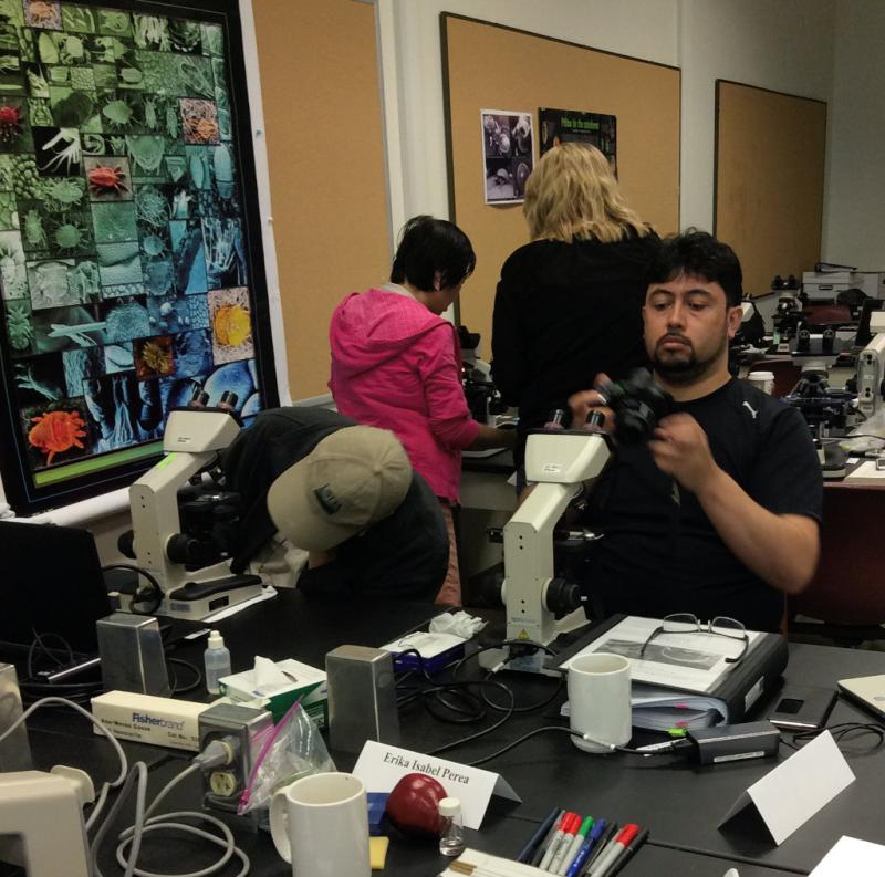 Participant of Acarology summer program