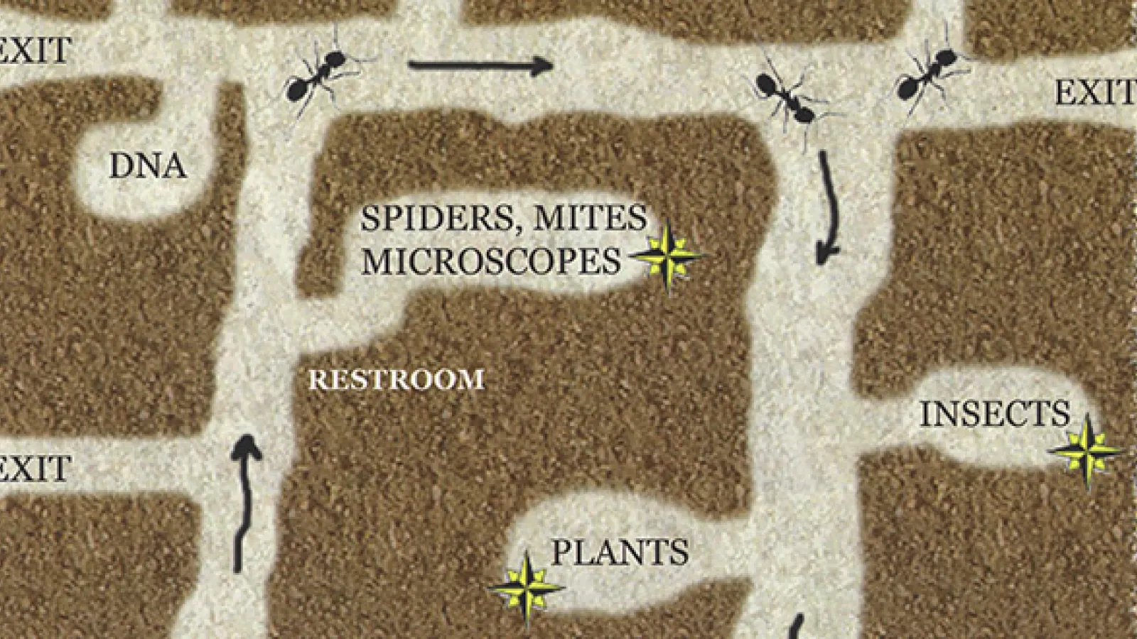 Detail of the map handed out to visitors in the 2010 Open House
