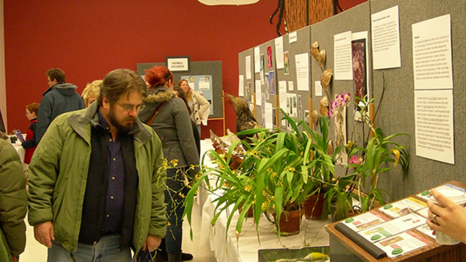 Auditorium displays