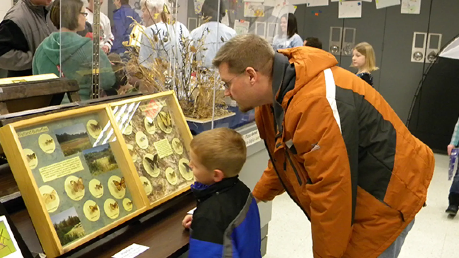 Displays at the Triplehorn Insect Collection