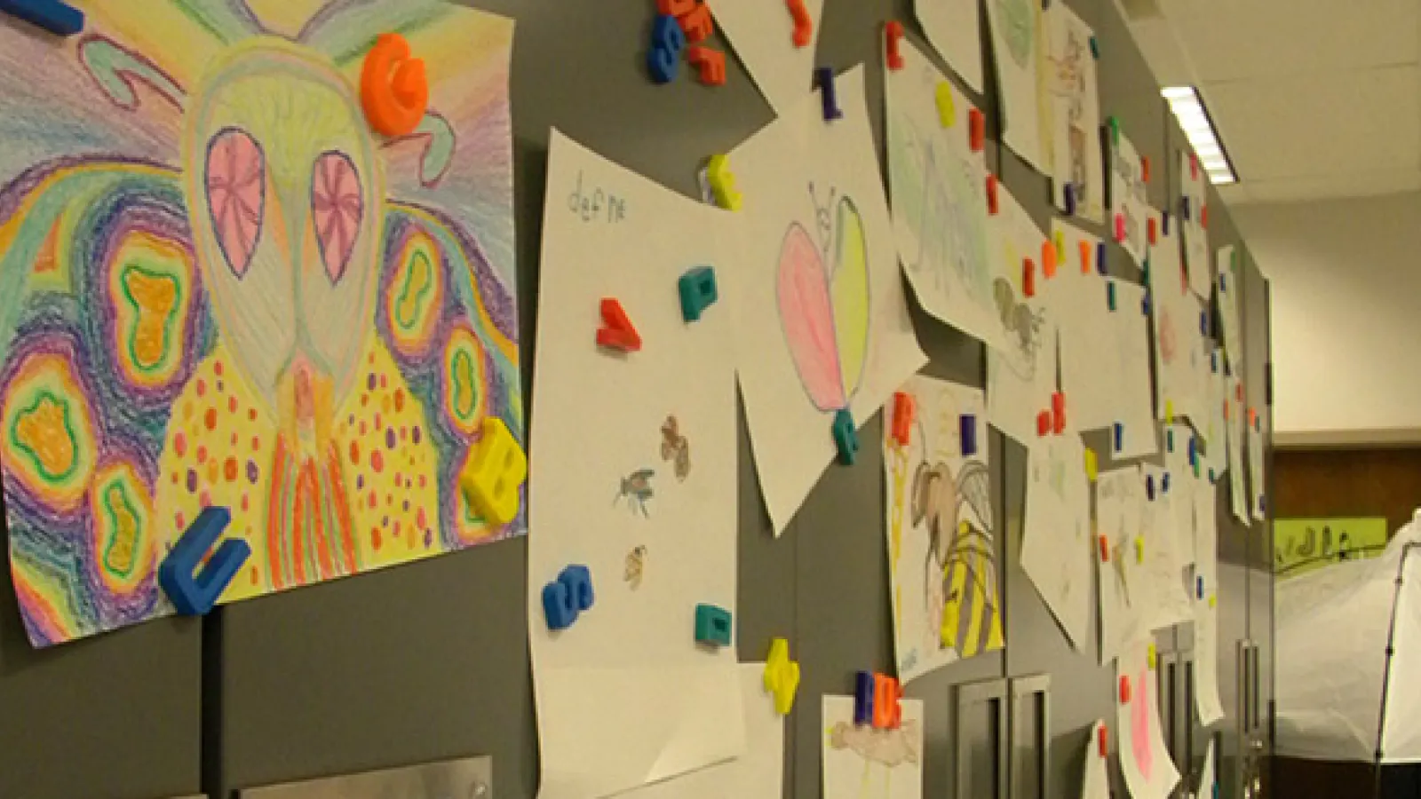 Extreme creativity: insect drawings at the Triplehorn collection
