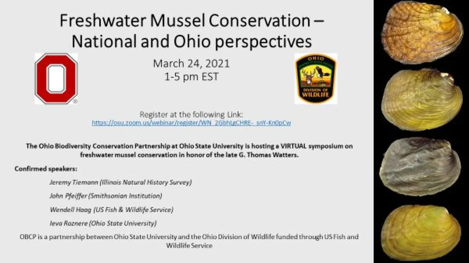 Mussel conservation flyer for March 24, 2021 event