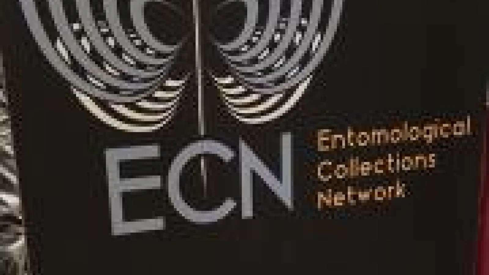 Entomological Collections Network 2016