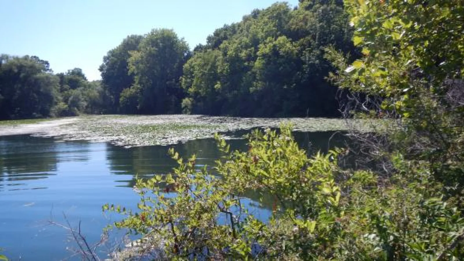 Terwilligers pond seen from smallest bridge in Ohio on Bayview road.