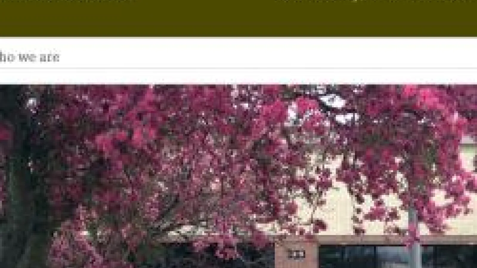 screenshot of the mueseum blog