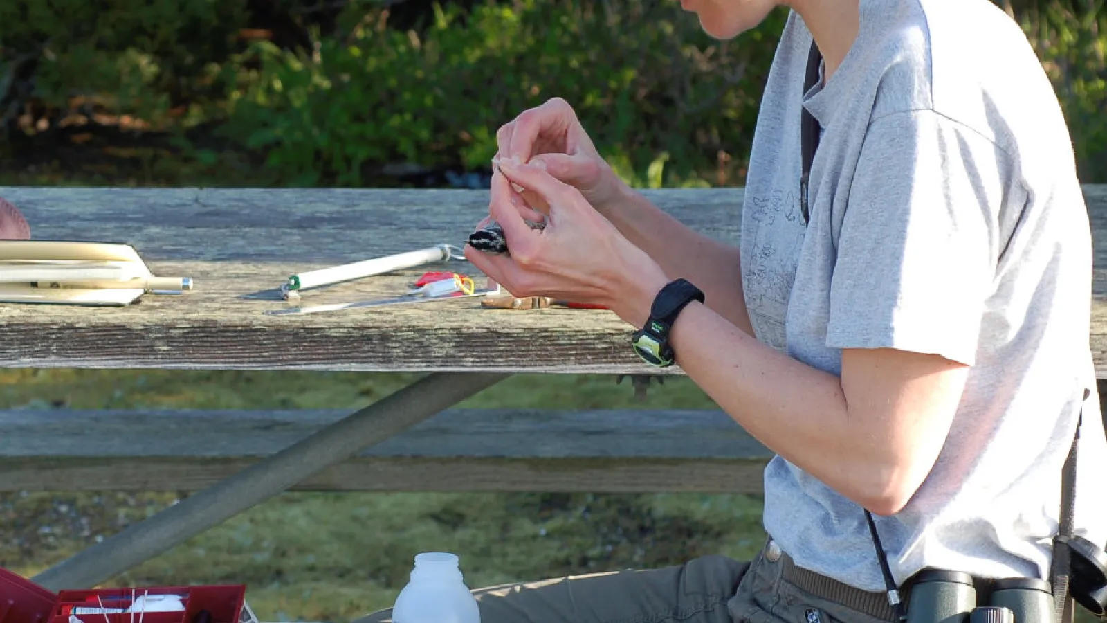 Angelika Nelson (Poesel) banding a WCSP
