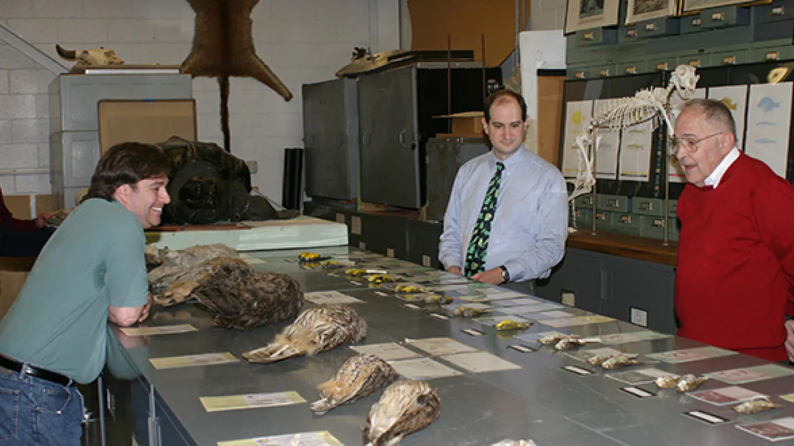 Museum Gala April 29, 2005, Tetrapod collection