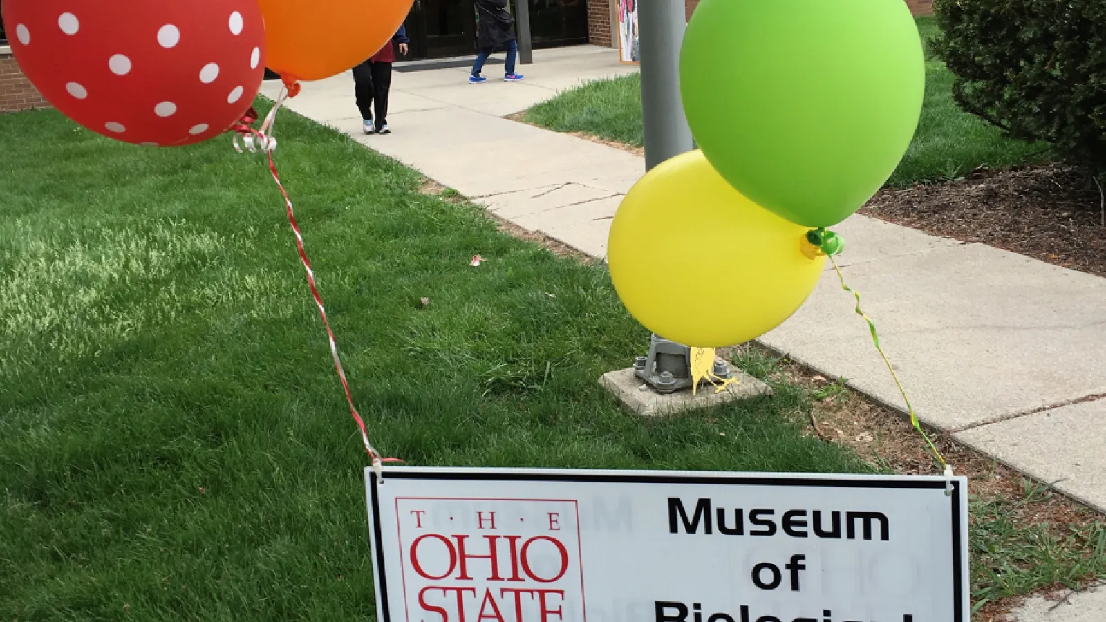celebration sign with air balloons