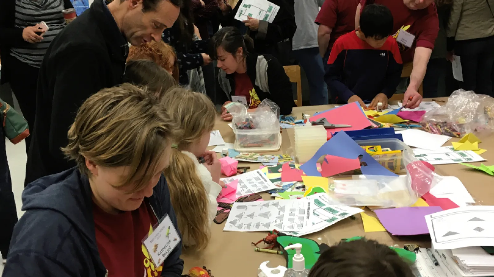 Kids activity in insect collection