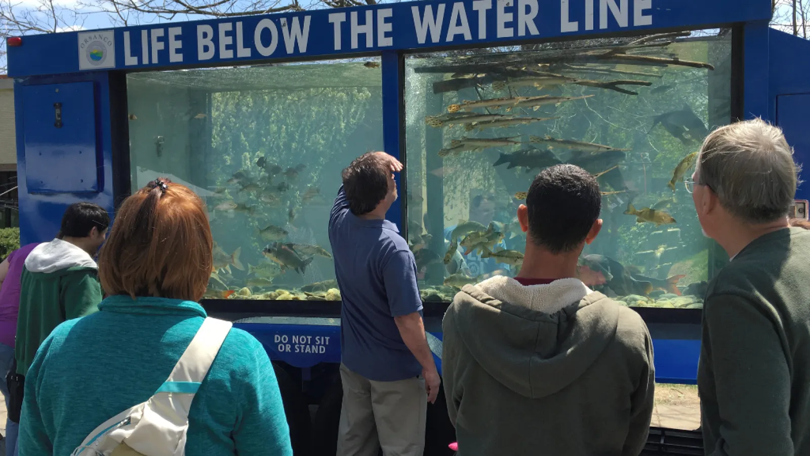Tank with wild Ohio fish (ORSANCO.org)