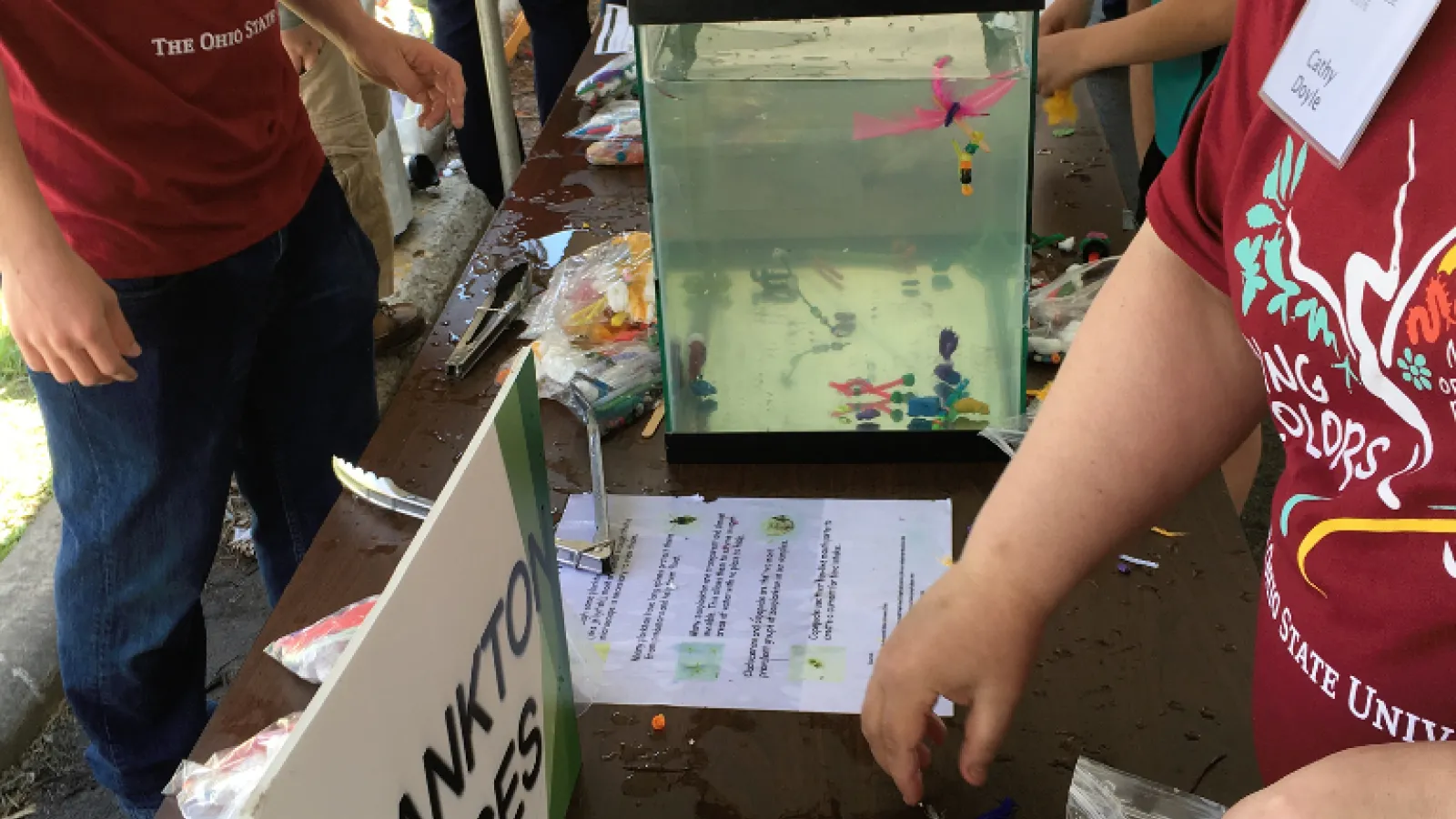 Kids activity - plankton races