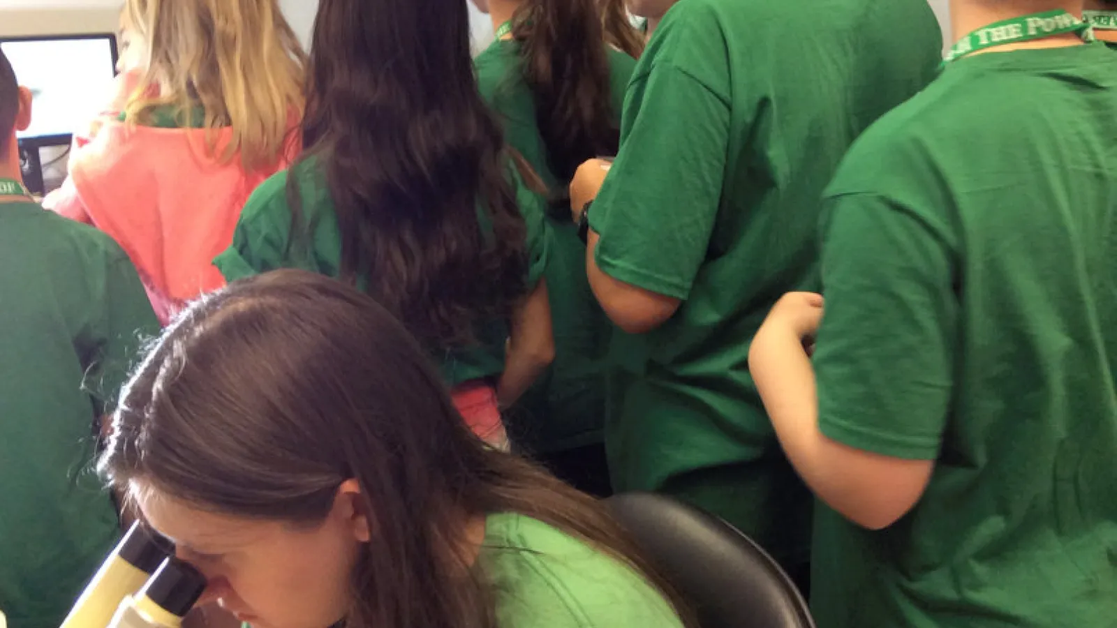 Bug summer campers in insect collection