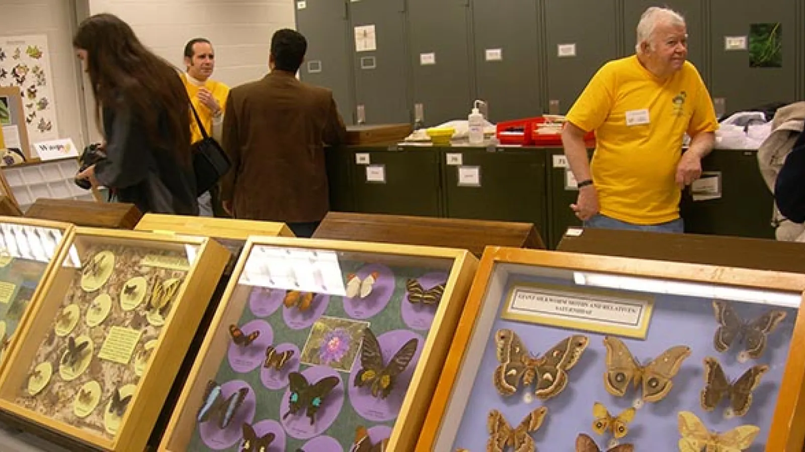 Chuck Triplehorn at the insect collection