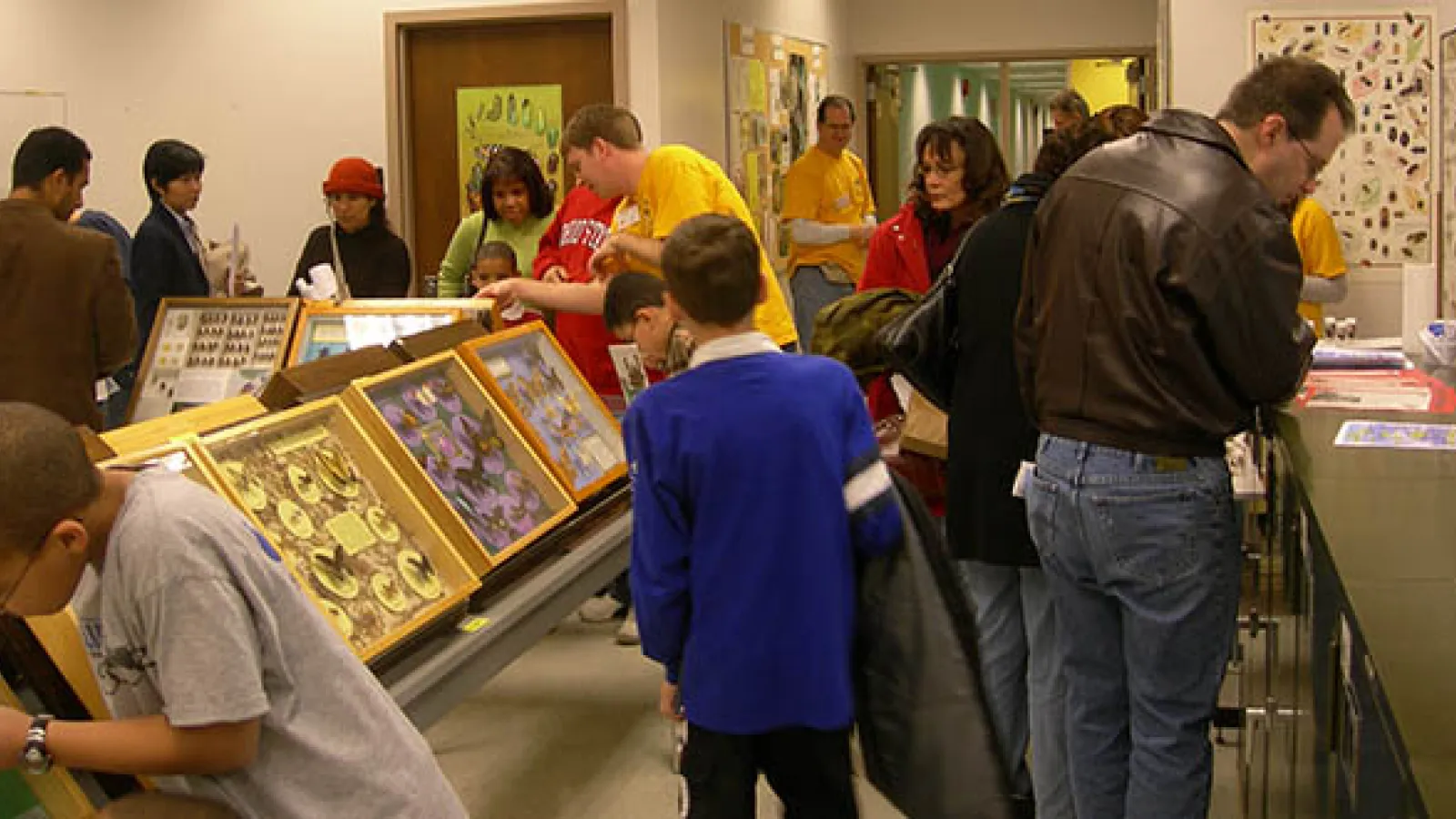 View of the Triplehorn collection during the event
