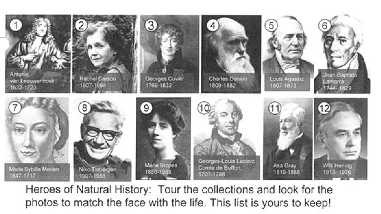 New feature introduced: Heroes of Biodiversity