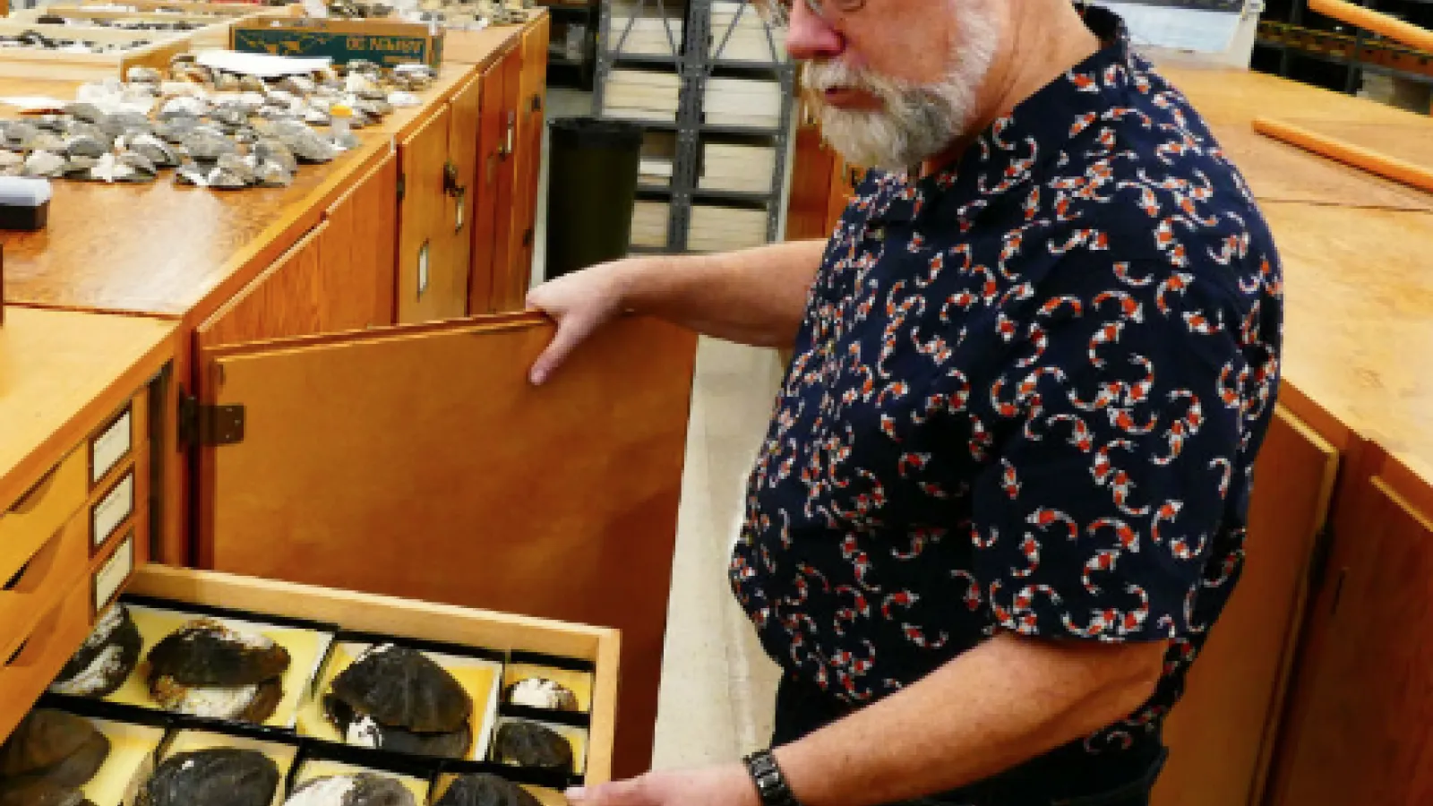 Watters in Bivalve Range
