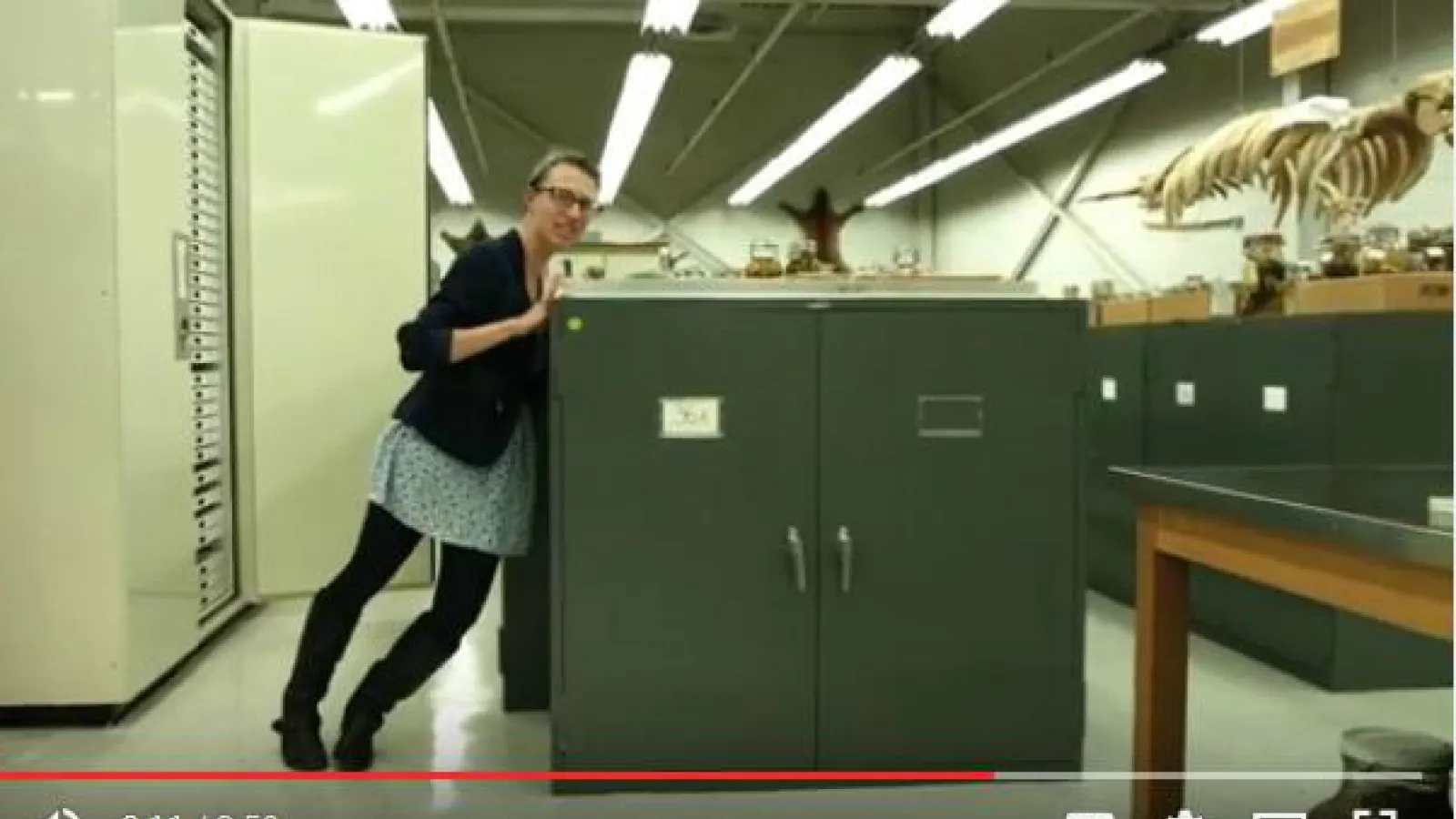 Museum cabinet too heavy and large to be evacuated