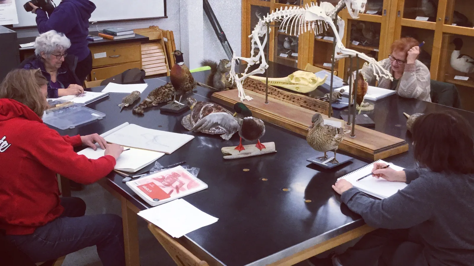Art class drawing in the OSU Tetrapods collection
