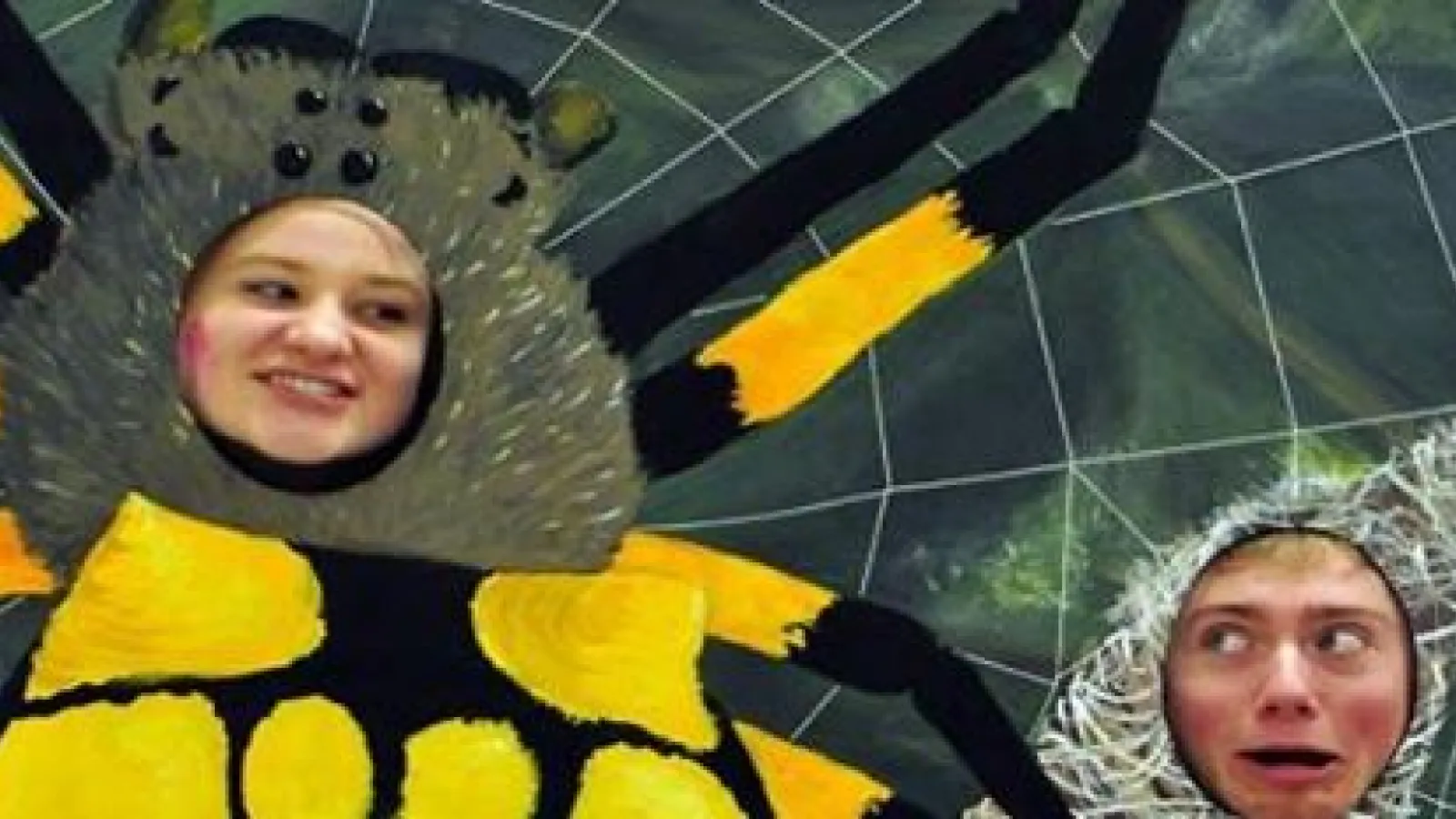 Photo op - Web of life
