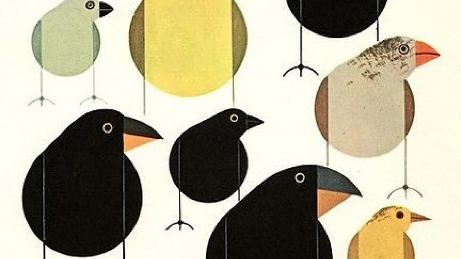 cove of the book The Beak of the Finch: A Story of Evolution in Our Time
