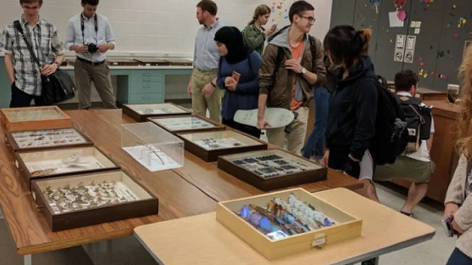 REU students in insect collection