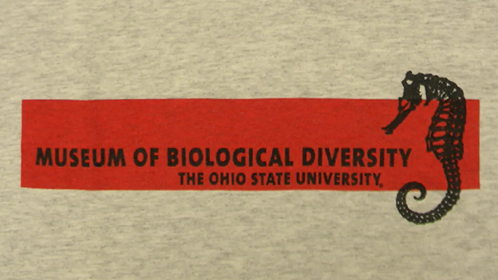 First year of the t-shirt