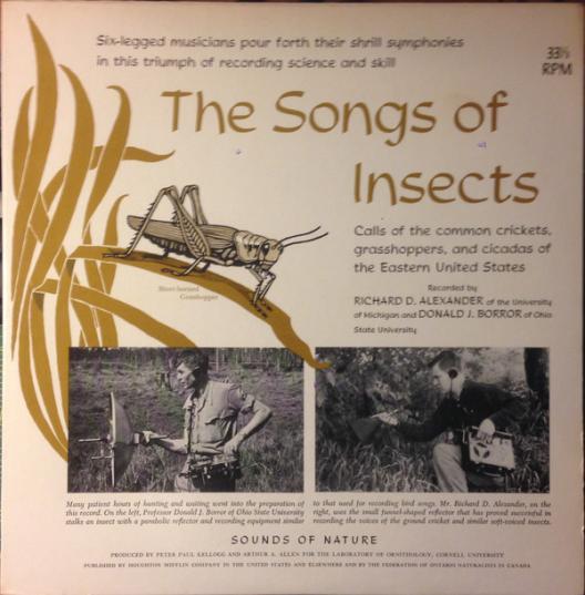 The Songs of Insects cover
