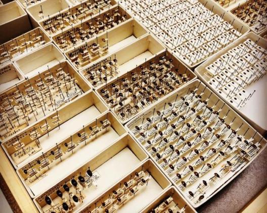 Insect drawer containing dozens of unti trays full of dry-mounted insect specimens 