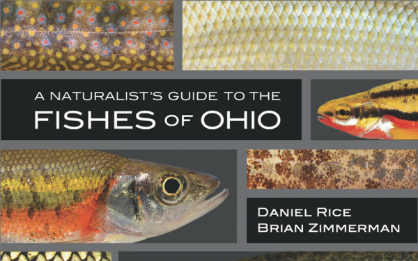 A Naturalist's Guide to the Fishes of Ohio