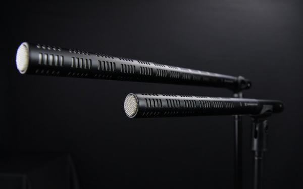 picture of a shotgun microphone
