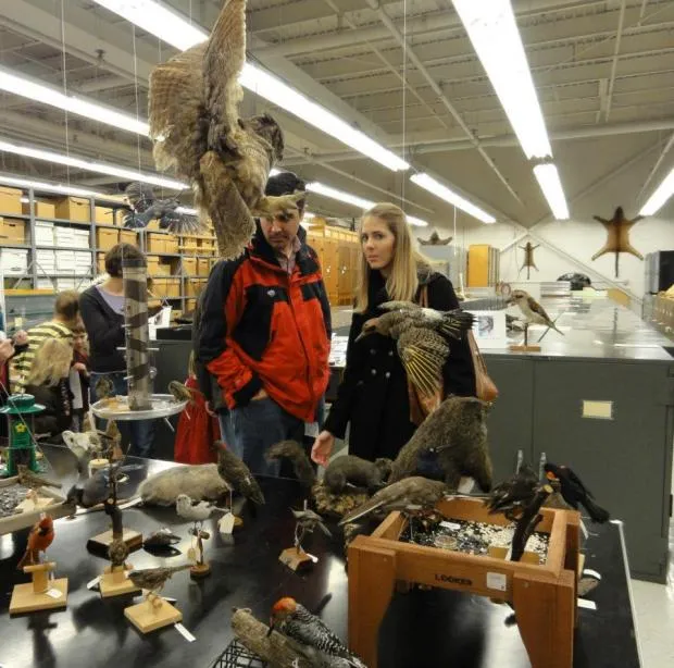 Visitors examining a specimen display