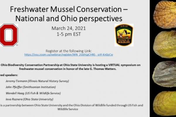 Mussel conservation flyer for March 24, 2021 event