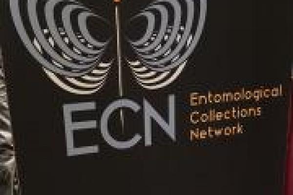 Entomological Collections Network 2016