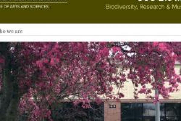 screenshot of the mueseum blog