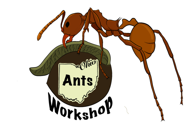 Logo of the Ohio Ants Workhop, depicting an ant crawling over a buckeye nut with the text "Ohio Ants Workshop"