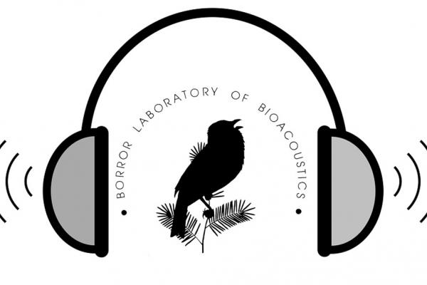 BLB logo with headphones