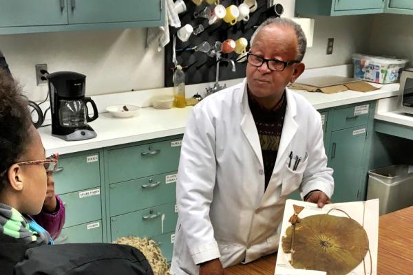 Herbarium sheets