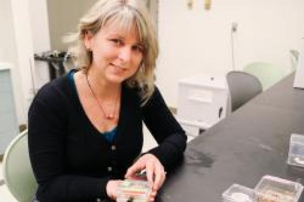 Rachelle Adams sitting at desk