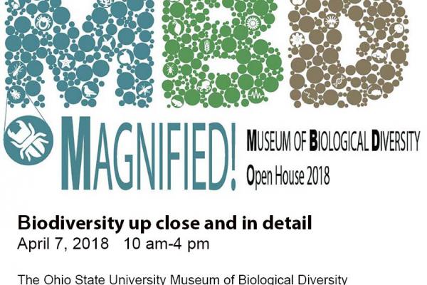 Magnified! Magnified!