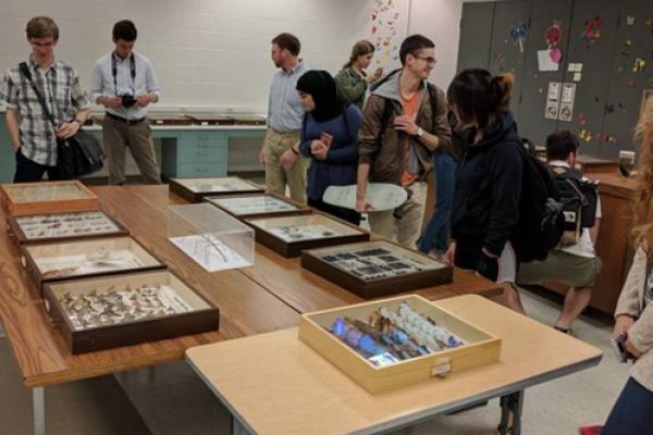 REU students in insect collection