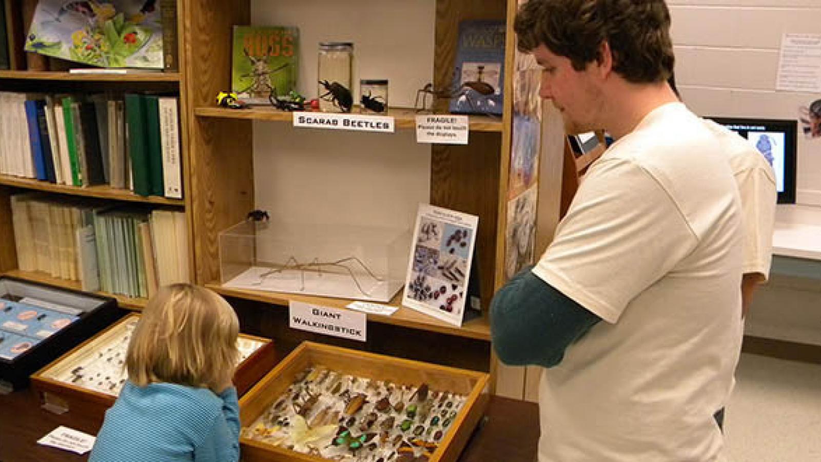 Joe Cora with visitor at the Triplehorn Insect Collection