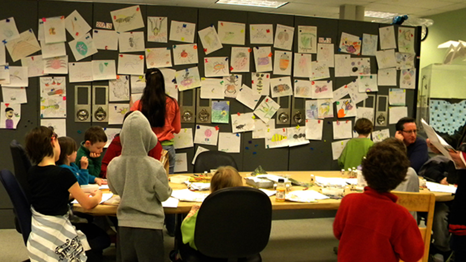 Bug drawing station at the Triplehorn Insect Collection