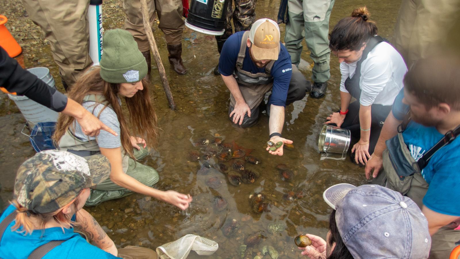 Group of Mussel Workshop Participants Viewing Mussels in Olentangy