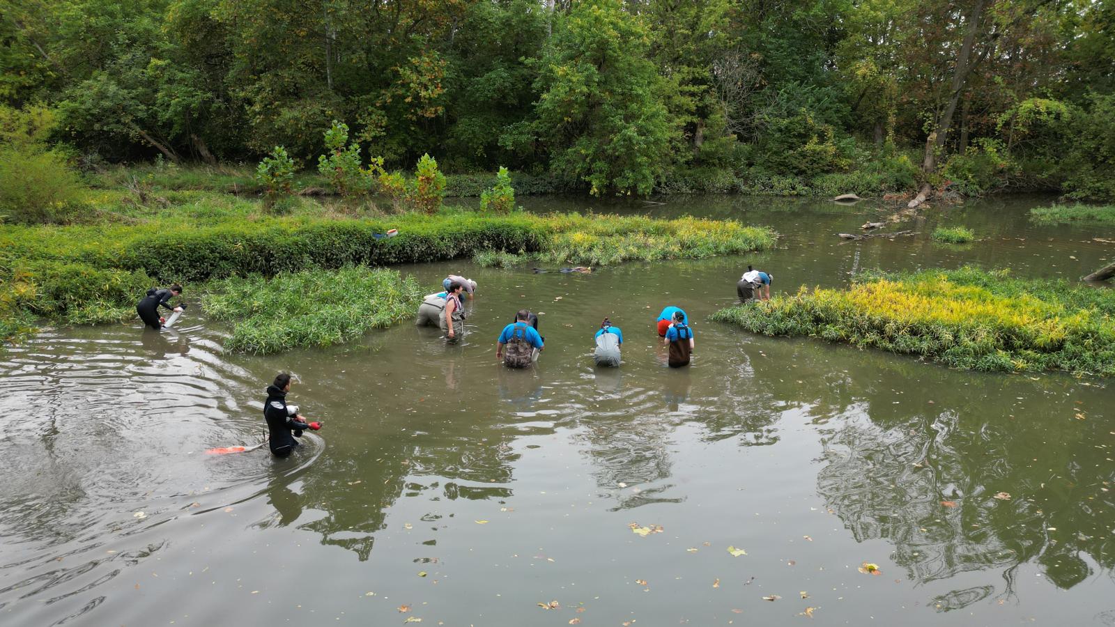 2023 Freshwater Mussel Workshop Participants Searching for Mussels in Big Darby Creek