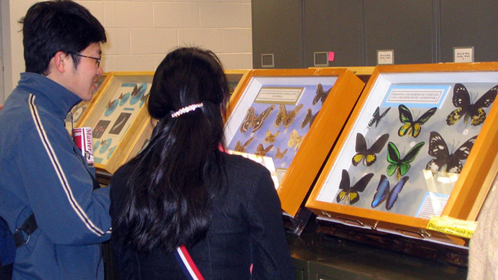 Butterfly displays 2006 Open House