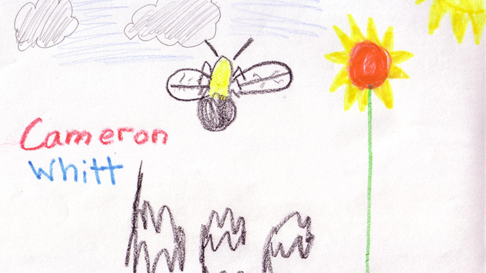 Insect drawing produced by young visitor during 2009 Open House