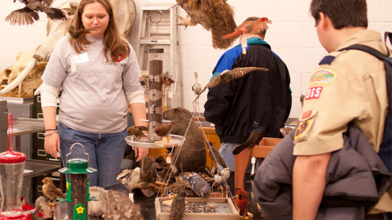 Tetrapods at the 2012 Open House